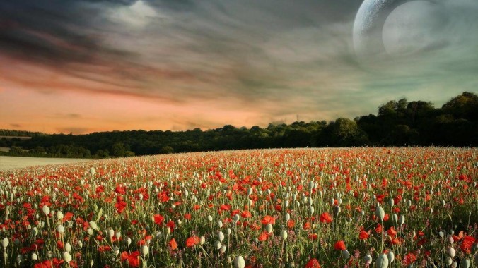 为什么Mac连个正儿八经的CAD都装不了还敢打着生产力的旗号？